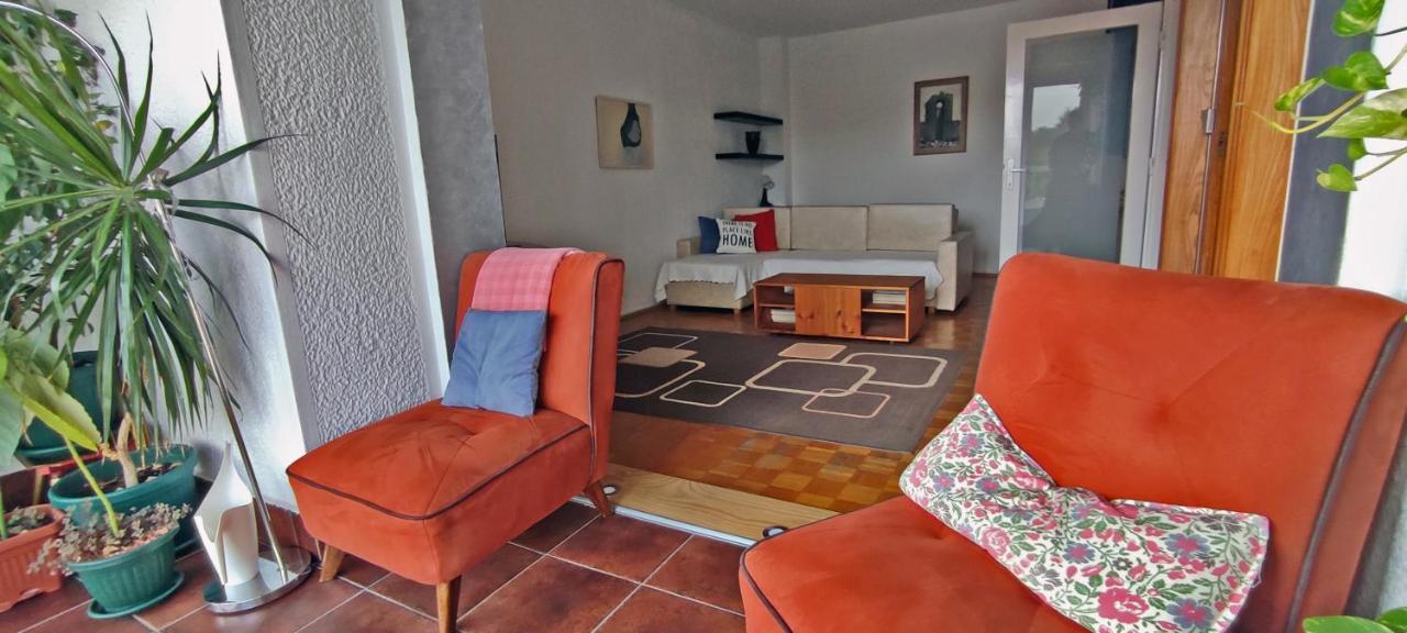 Sokolov Apartment Smederevo Esterno foto