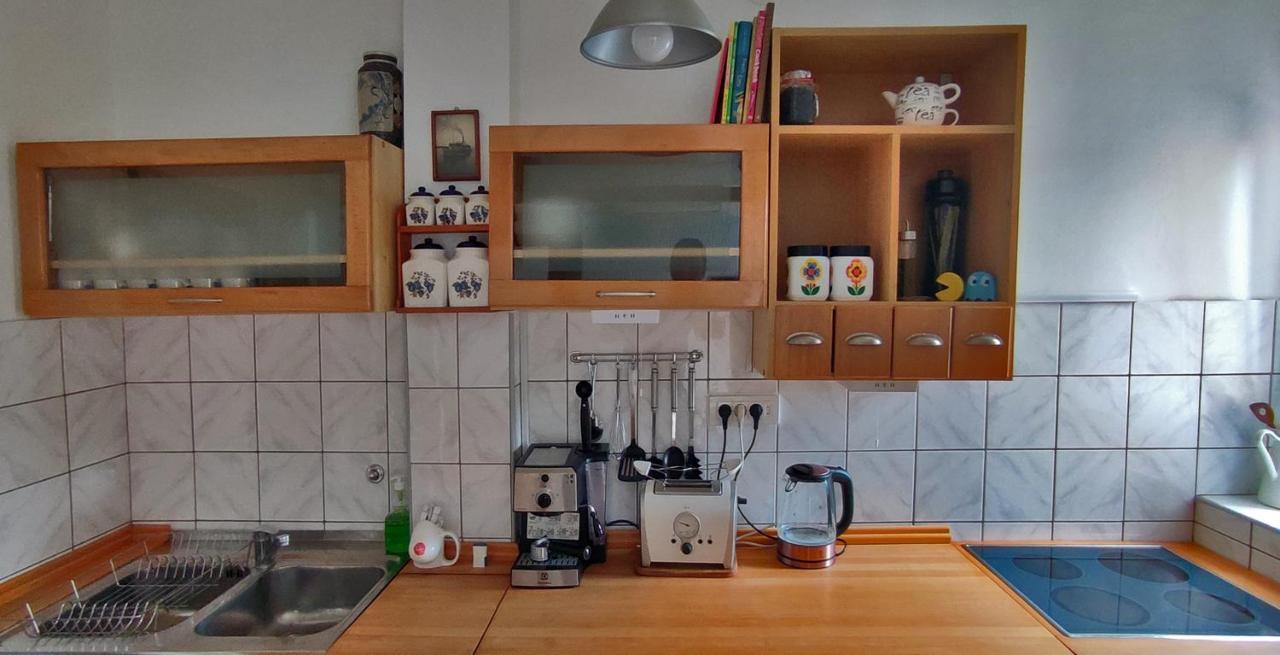 Sokolov Apartment Smederevo Esterno foto